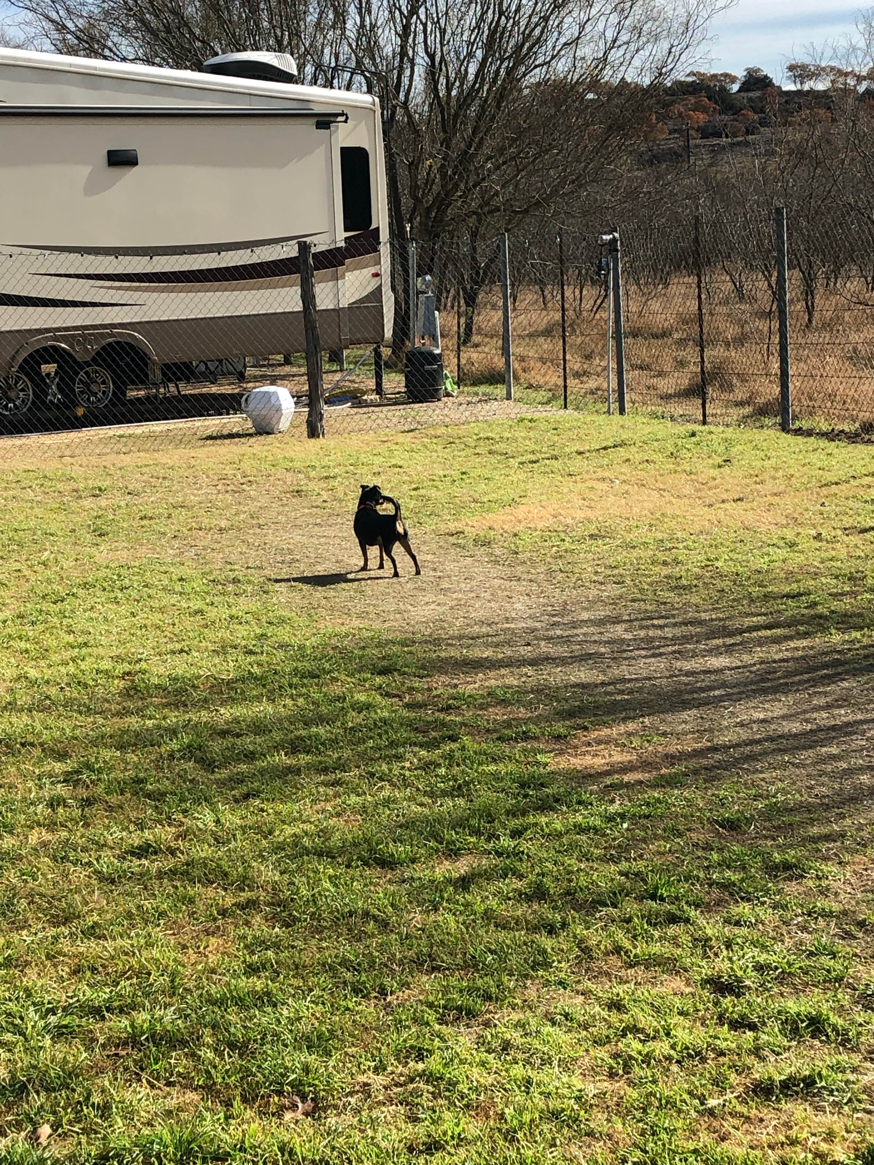 Camper-submitted photo at Miller Creek RV Park near Johnson City, TX