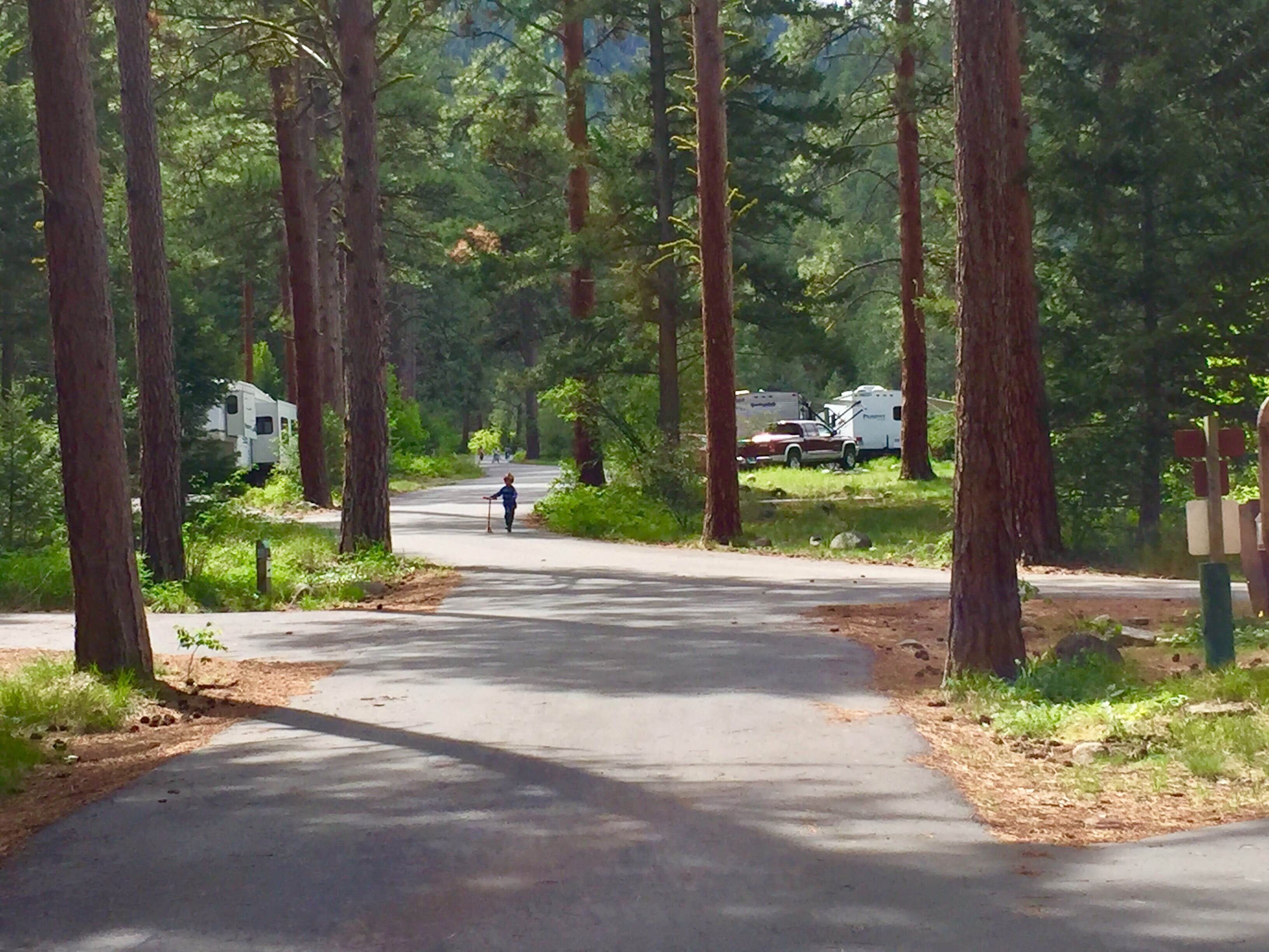 Camper-submitted photo at Charles Waters Campground near Lolo, MT