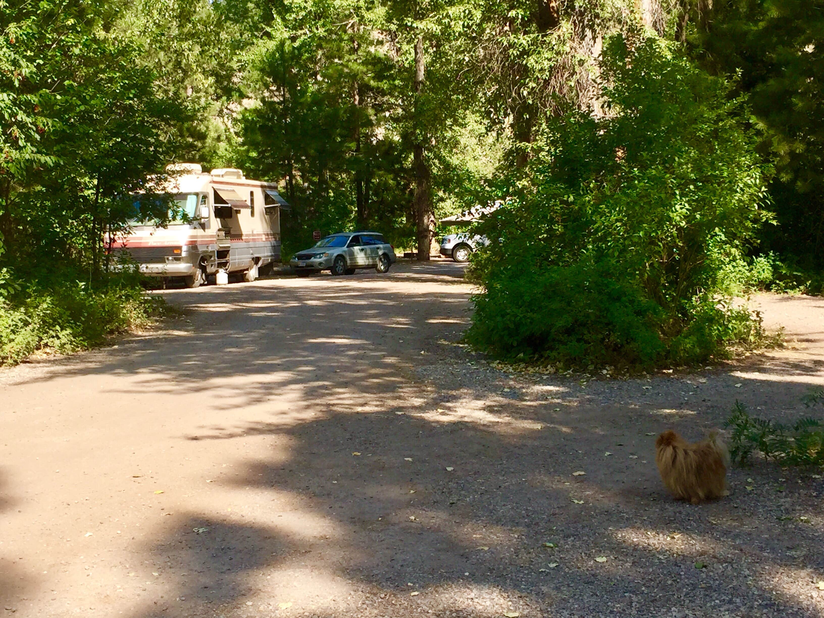 Camper-submitted photo at Beavertail Hill State Park Campground near Lolo, MT