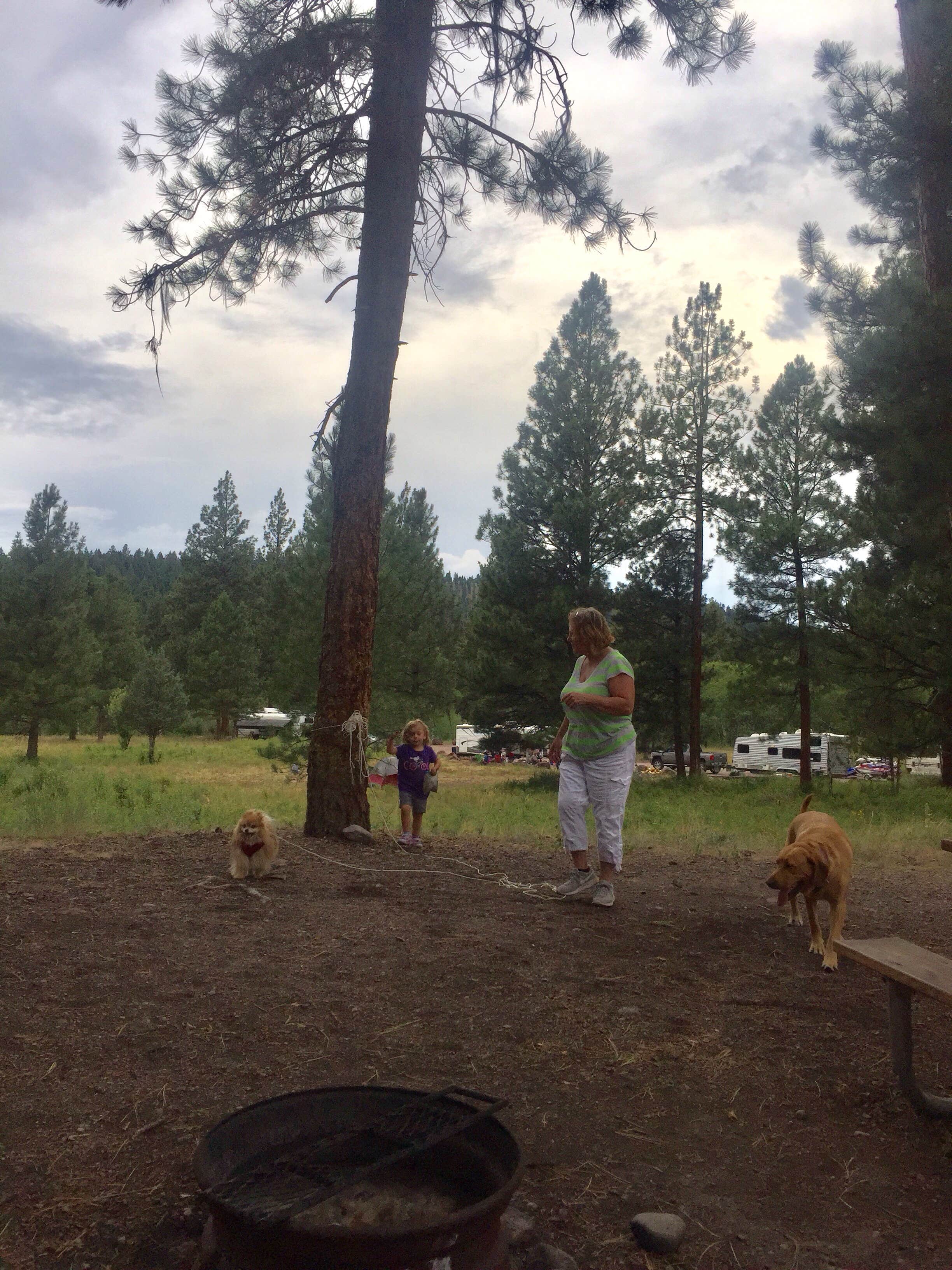 Camper-submitted photo at Harpers Lake near Ovando, MT