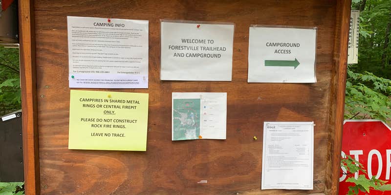 Camper submitted image from Forestville Campground