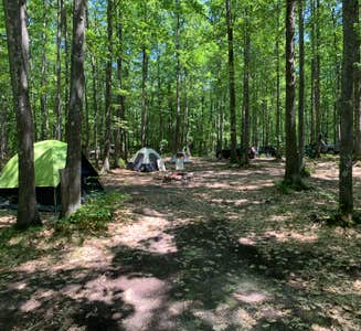 Camper-submitted photo from Forestville Campground