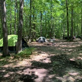 Review photo of Forestville Campground by Aleia W., July 26, 2020