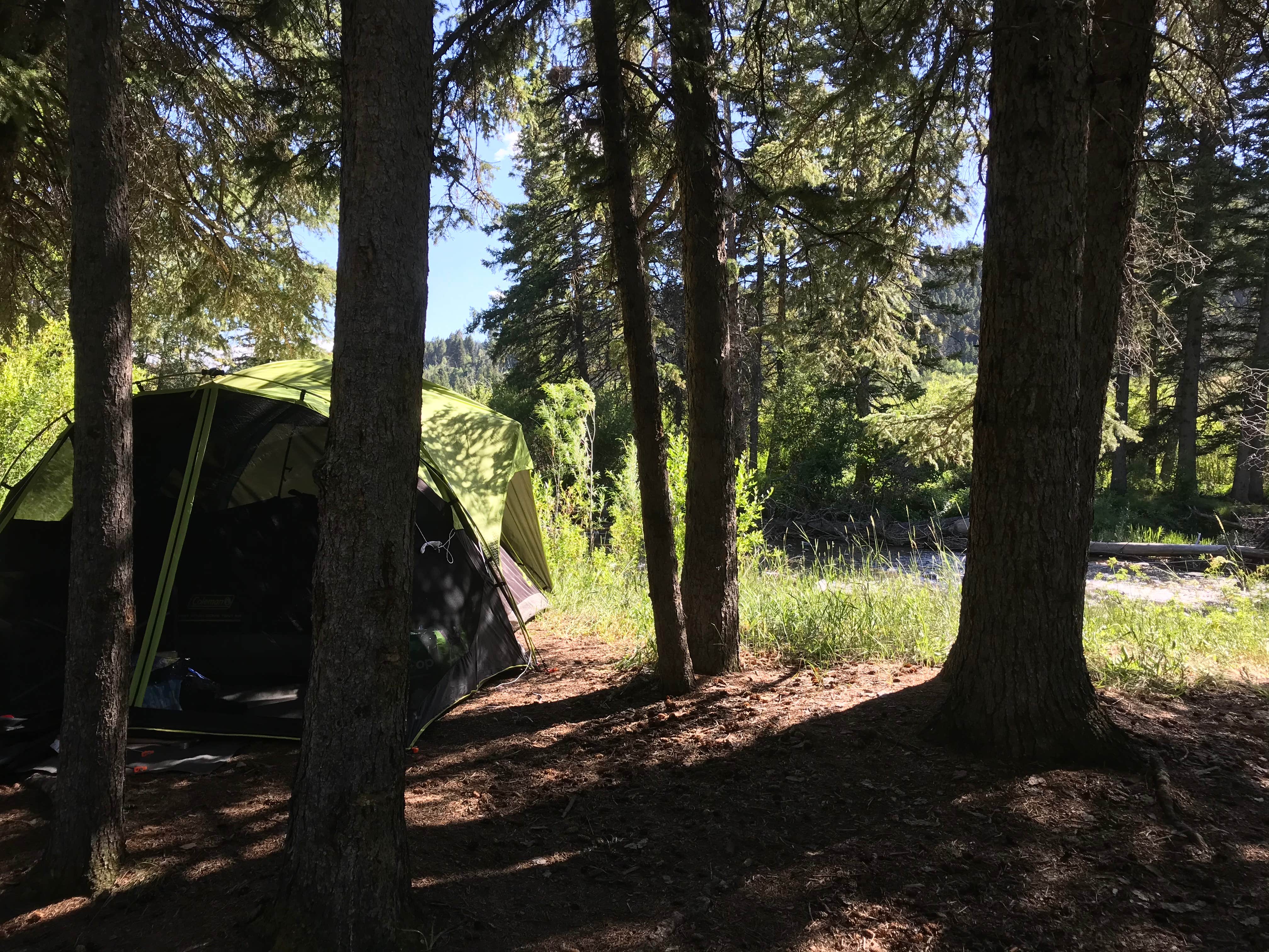 Dani- G.'s photo of tent camping at West Fork Madison Campground near Ennis, MT