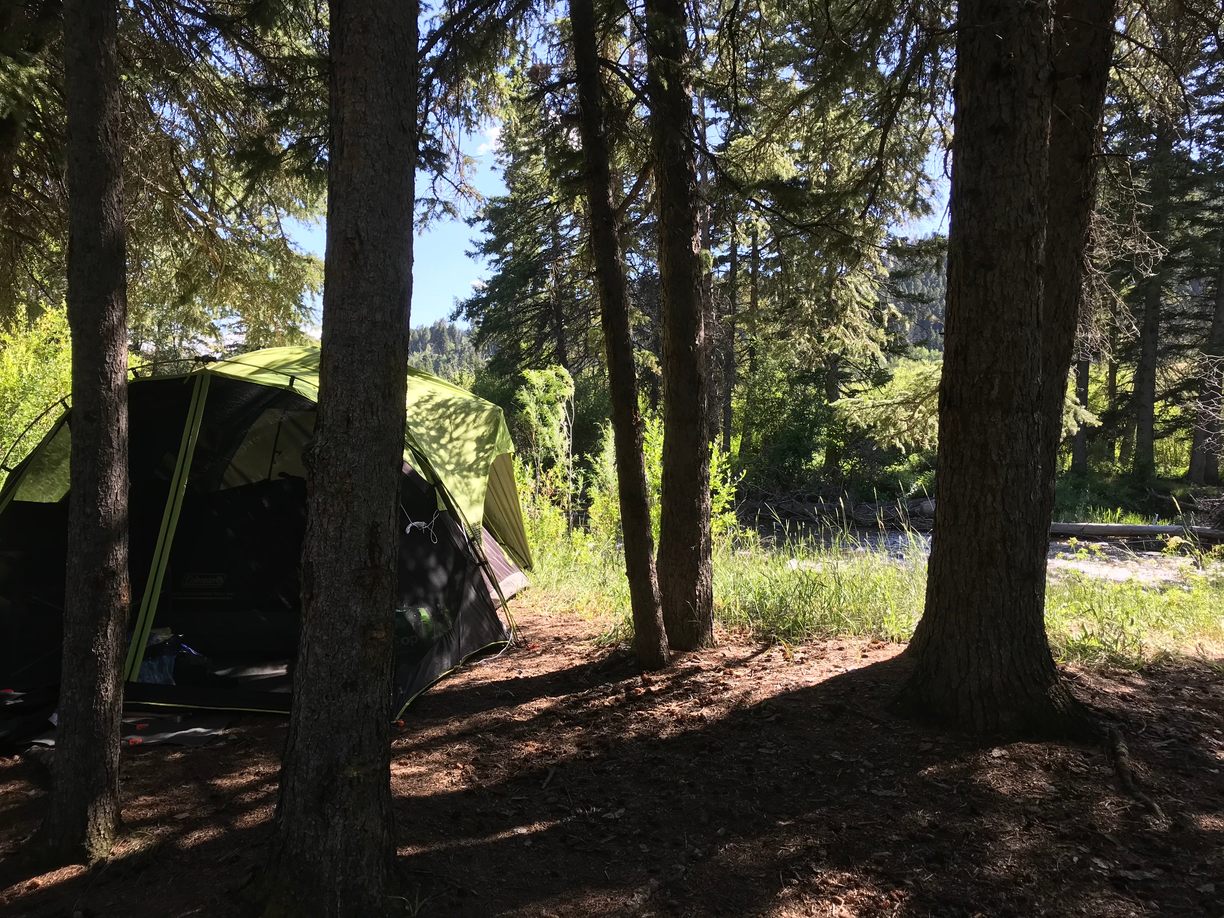 Camper submitted image from West Fork Cabins & RV - 4