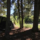 Review photo of West Fork Cabins & RV by Dani- G., July 26, 2020