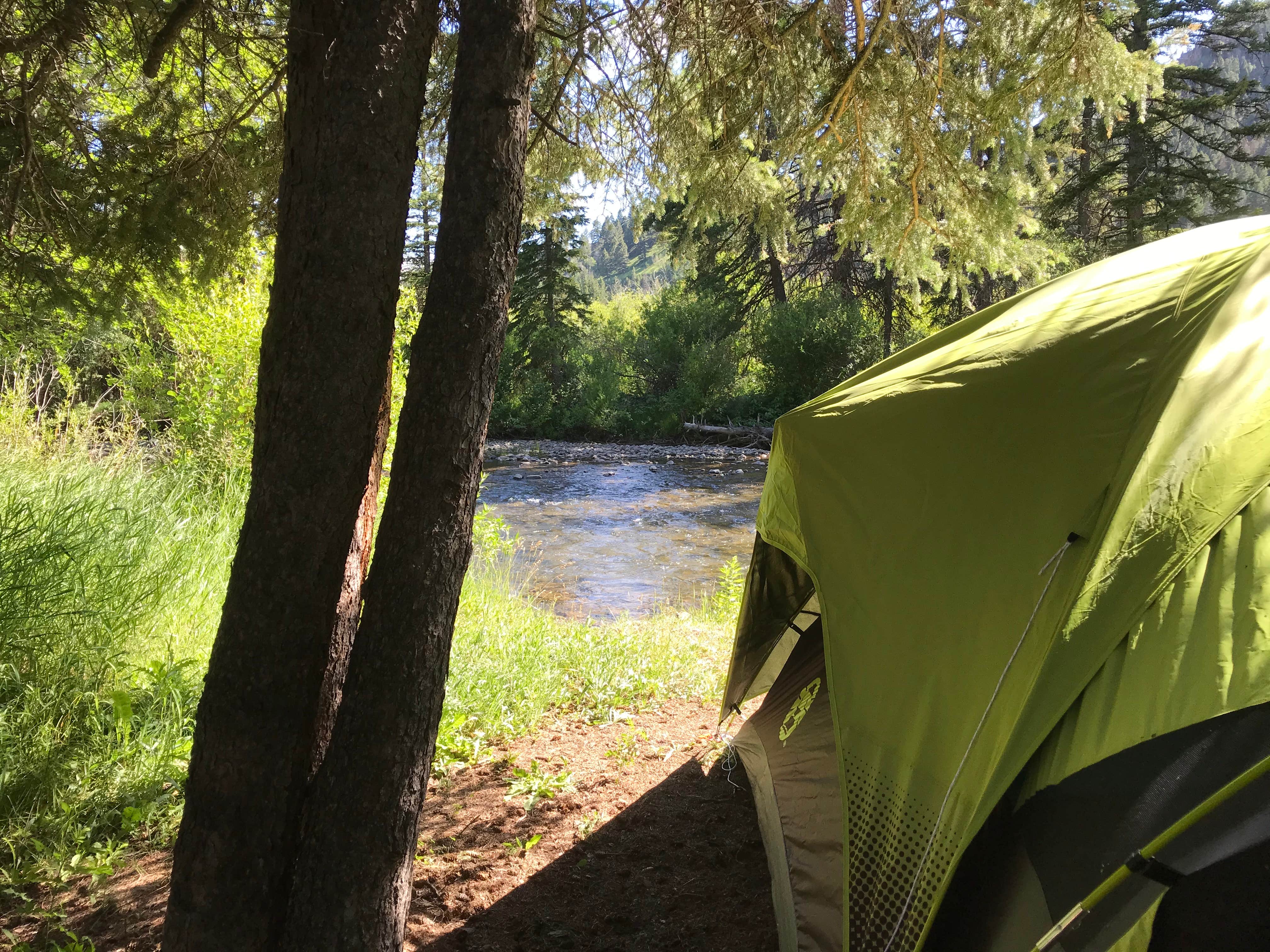 Dani- G.'s photo of tent camping at West Fork Madison Campground near Island Park, ID