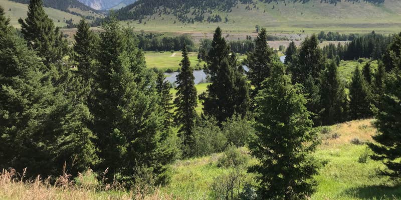 Camper submitted image from West Fork Madison Campground