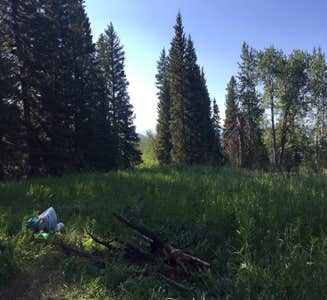 Camper-submitted photo from Custer-Gallatin National Forest Dispersed Camping