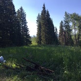 Review photo of Custer-Gallatin National Forest Dispersed Camping by Ruby W., July 26, 2020