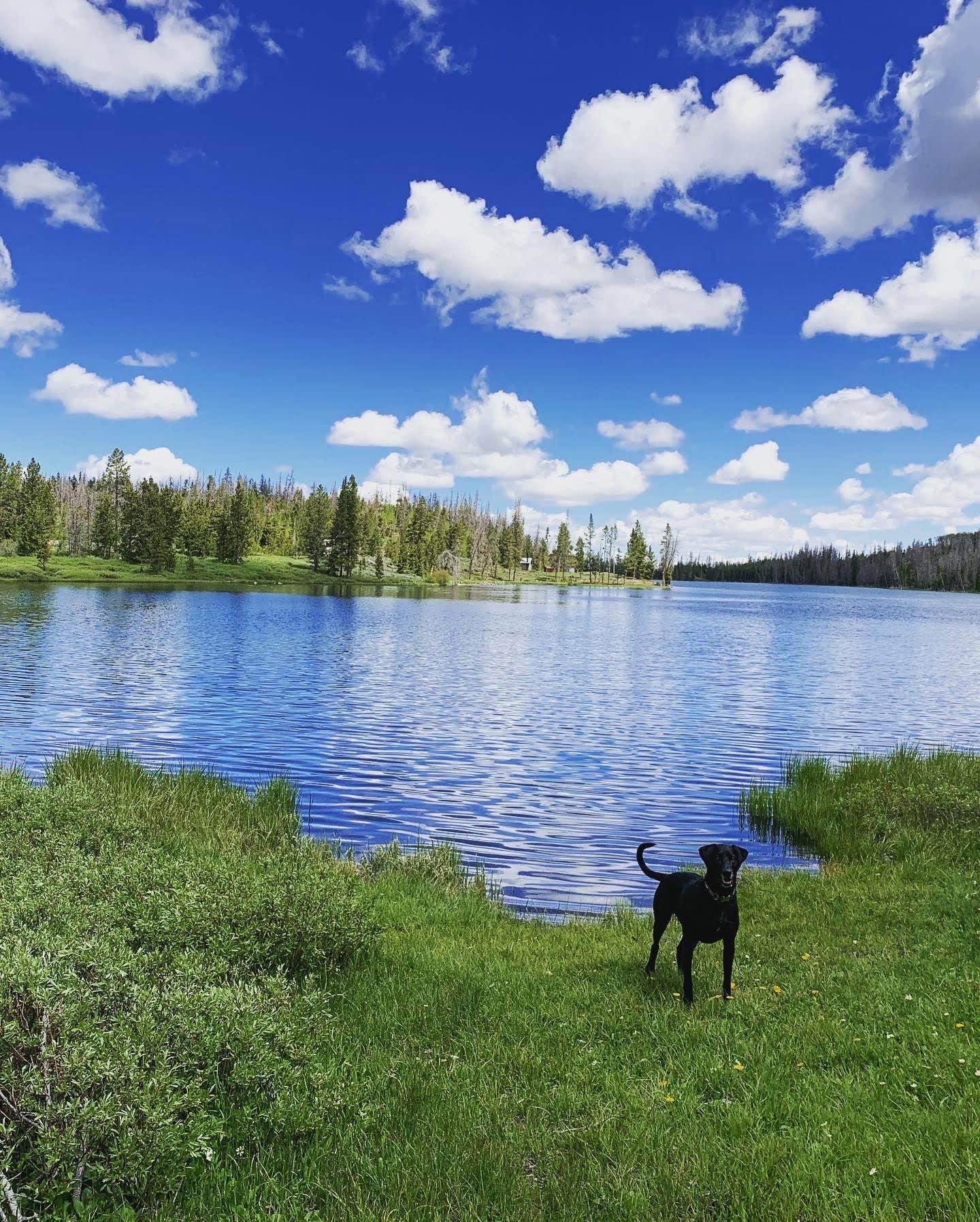 Camper submitted image from Marsh Lake Campground - 3