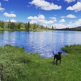 Review photo of Marsh Lake Campground by Becky J., July 26, 2020