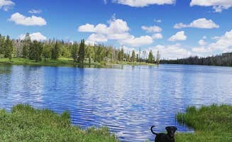 Becky J.'s photo of camping with pets at Marsh Lake Campground near Altonah, UT