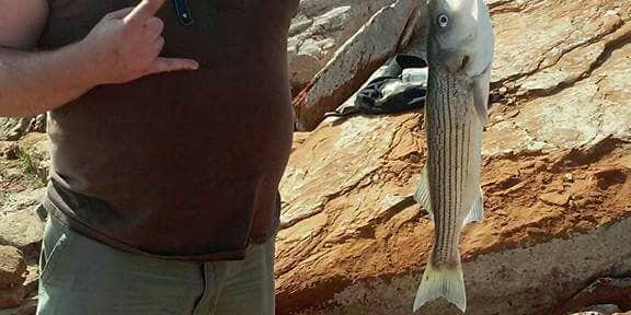 Camper submitted image from Wilson State Fishing Lake