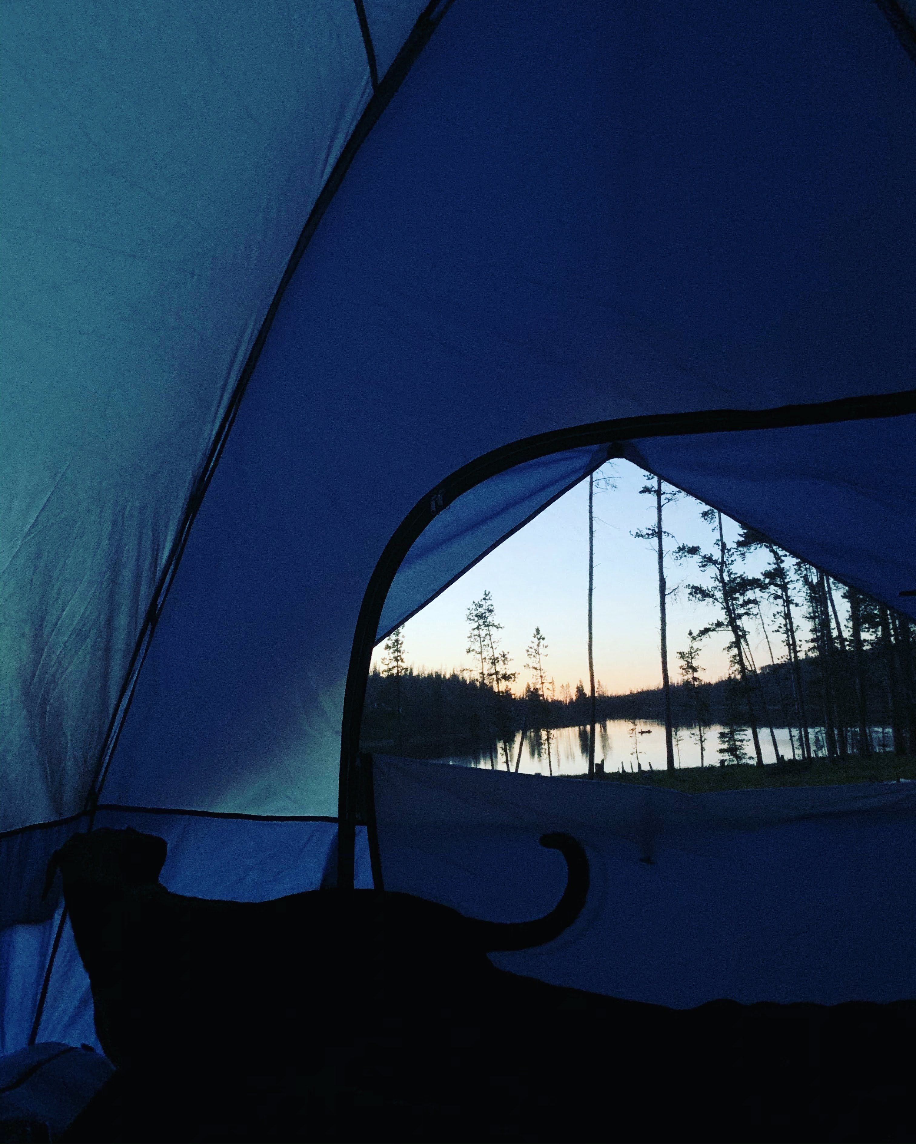 Camper submitted image from Marsh Lake Campground - 1