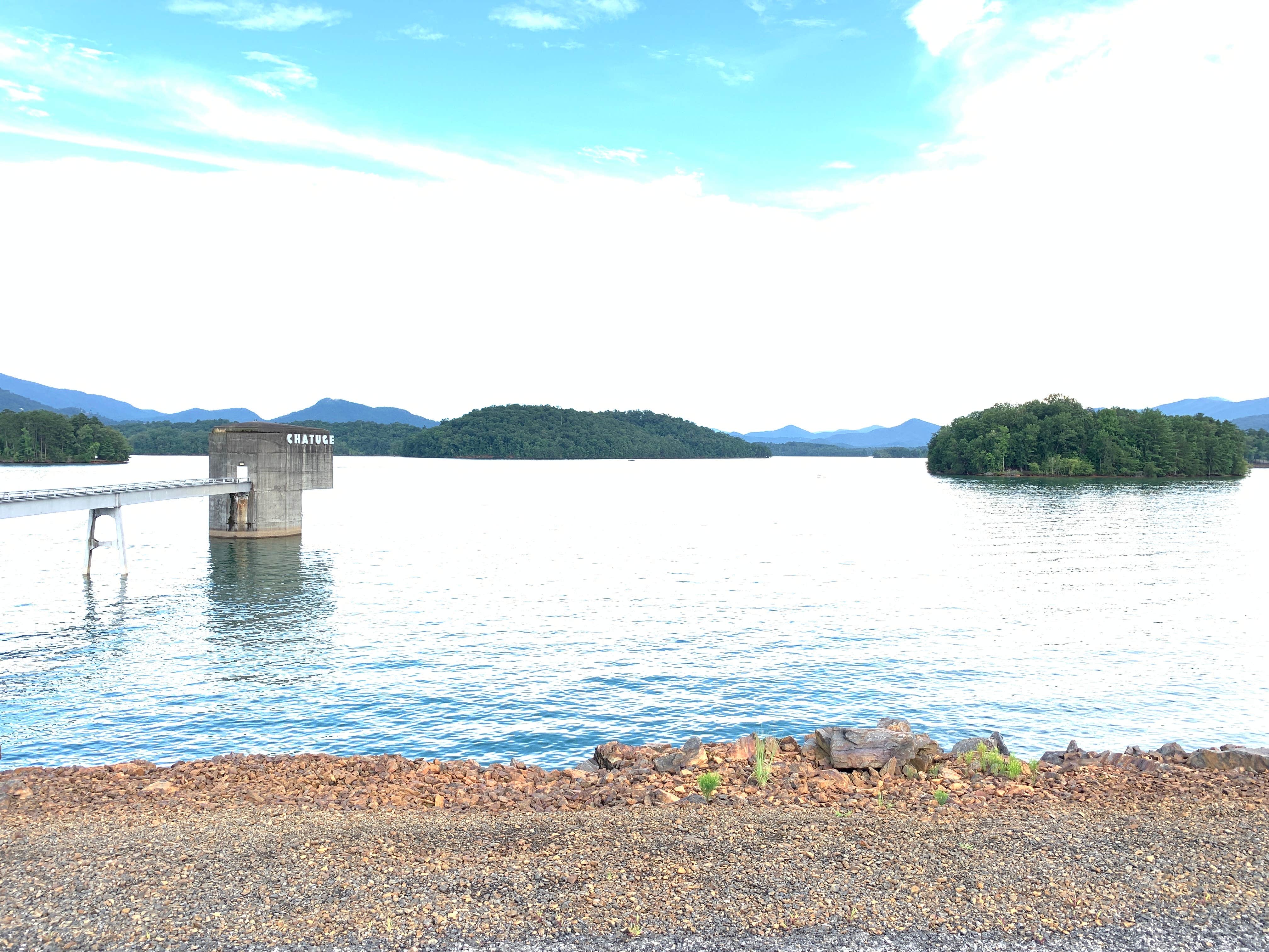 View All