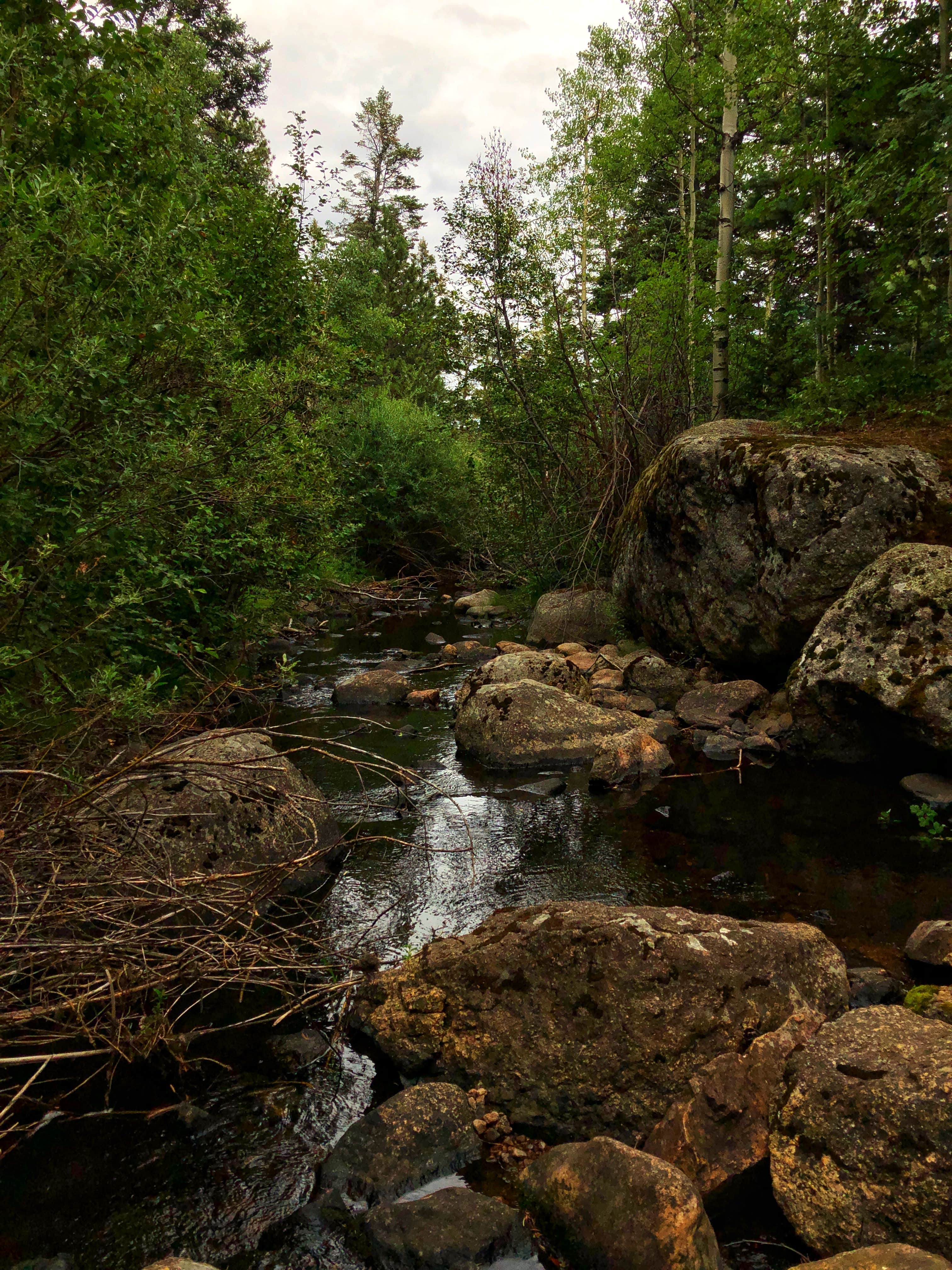 St Charles Campground Lake Isabel The Dyrt