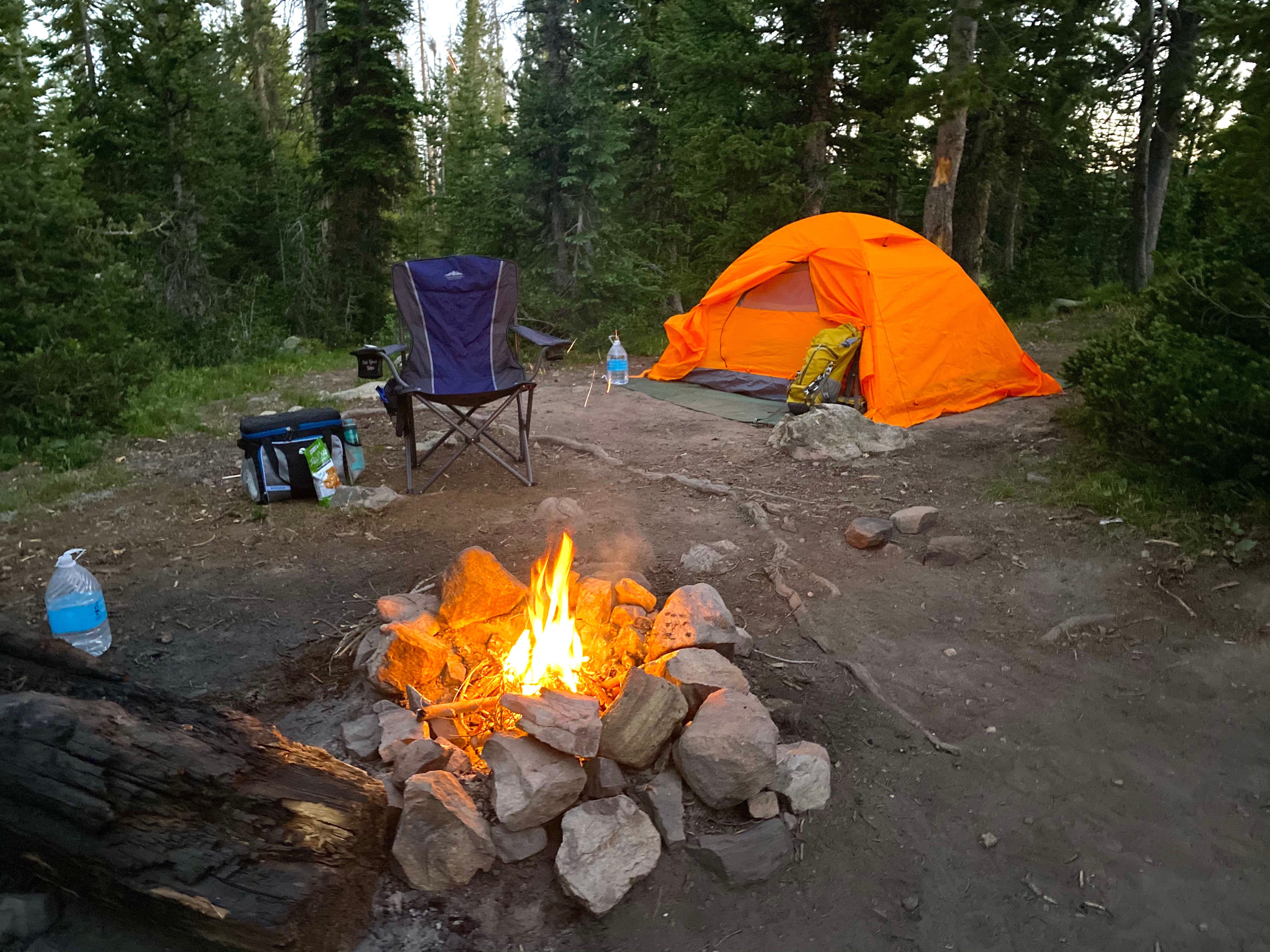 Camper submitted image from Uinta-Wasatch-Cache National Forest Dispersed Camping - 4
