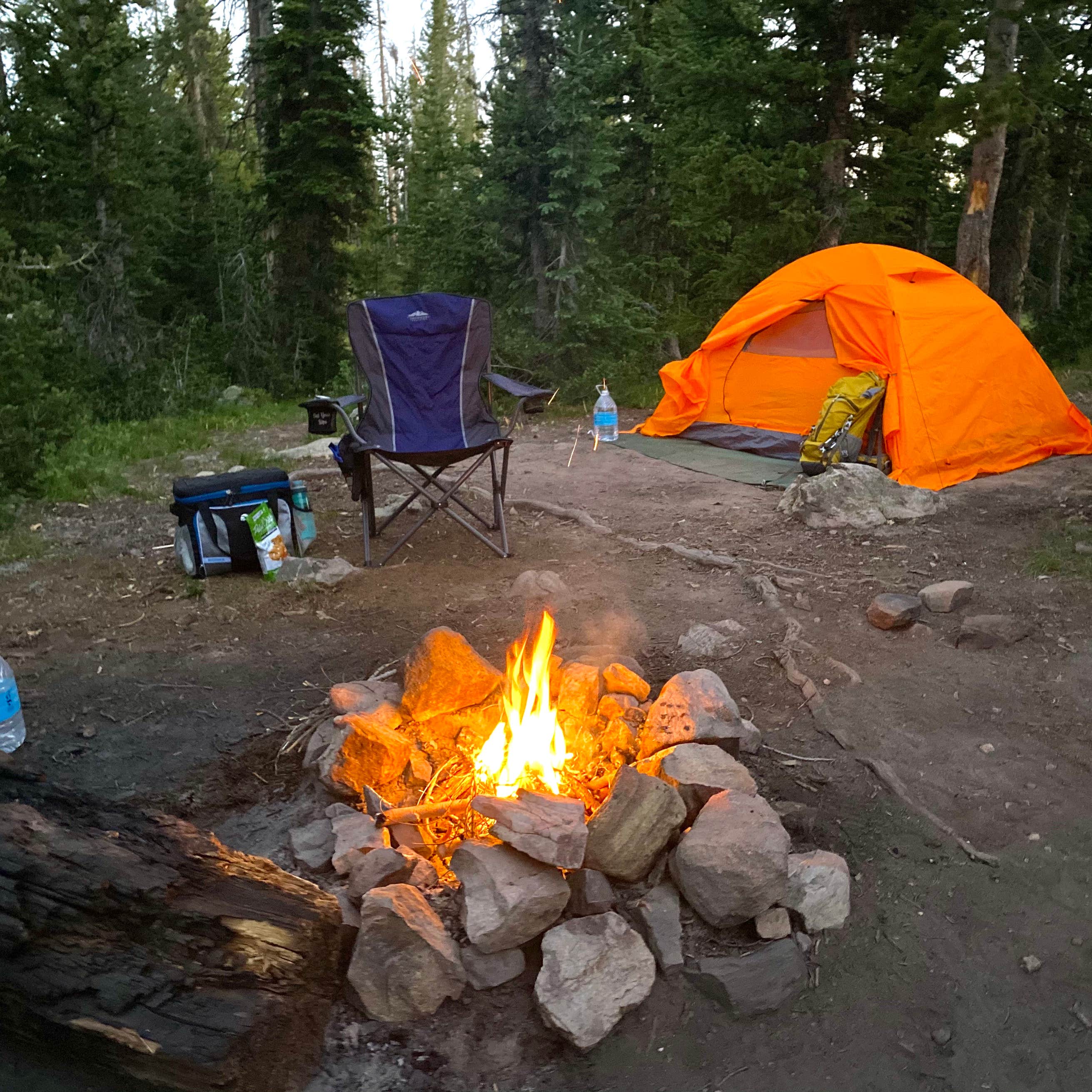 Uinta-Wasatch-Cache National Forest Dispersed Camping Camping | The Dyrt