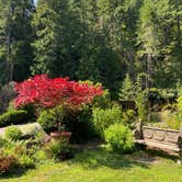 Review photo of Belknap Hot Springs Lodge and Gardens by Vivi W., July 26, 2020