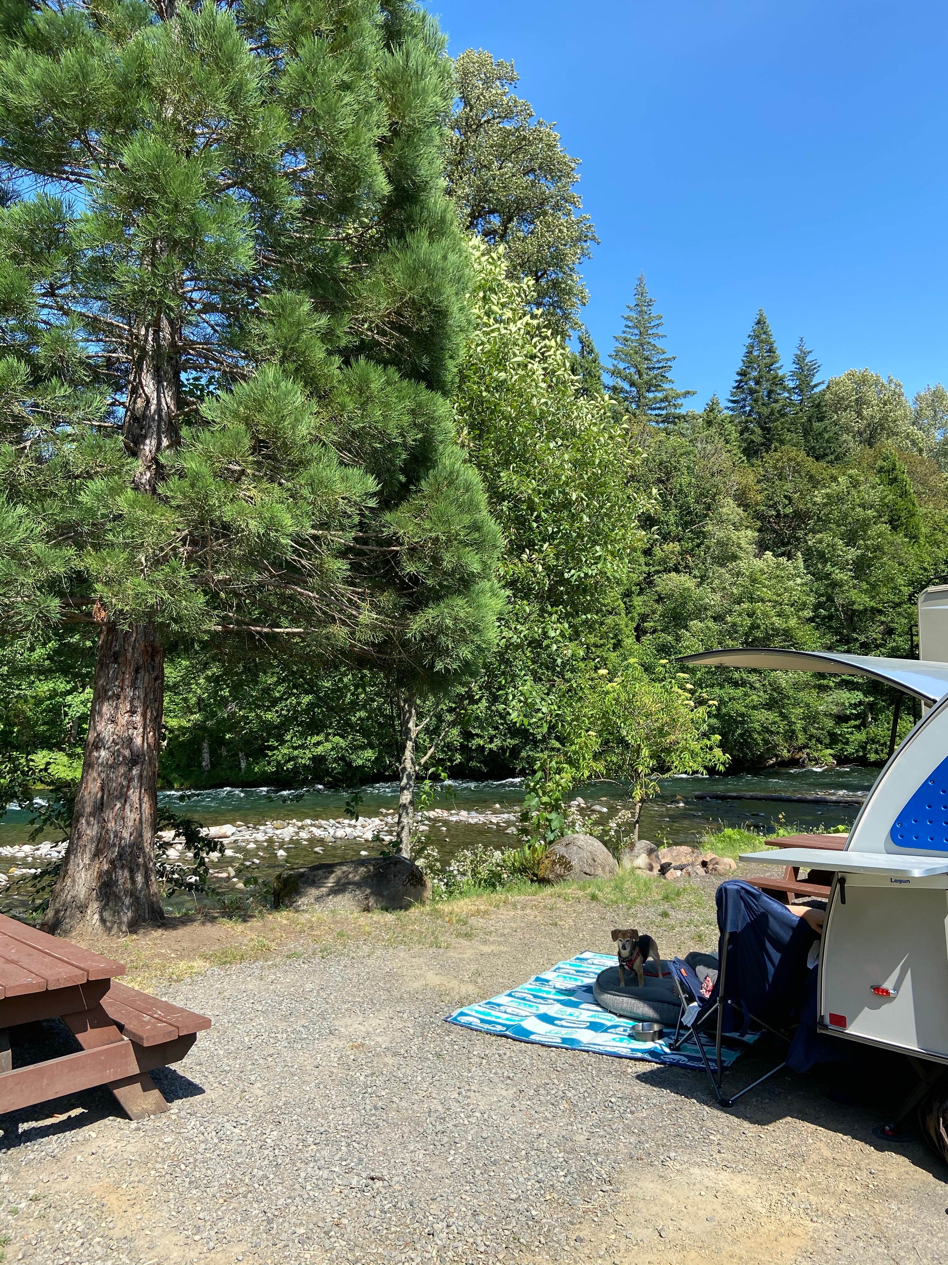 Vivi W.'s photo at Belknap Hot Springs Lodge and Gardens near Blue River, OR