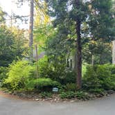 Review photo of Belknap Hot Springs Lodge and Gardens by Vivi W., July 26, 2020