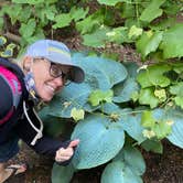 Review photo of Belknap Hot Springs Lodge and Gardens by Vivi W., July 26, 2020