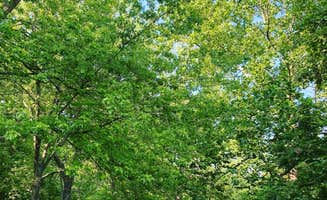 Ruth .'s photo at McCoys Ferry Campground — Chesapeake and Ohio Canal National Historical Park near Chesapeake & Ohio Canal National Historical Park