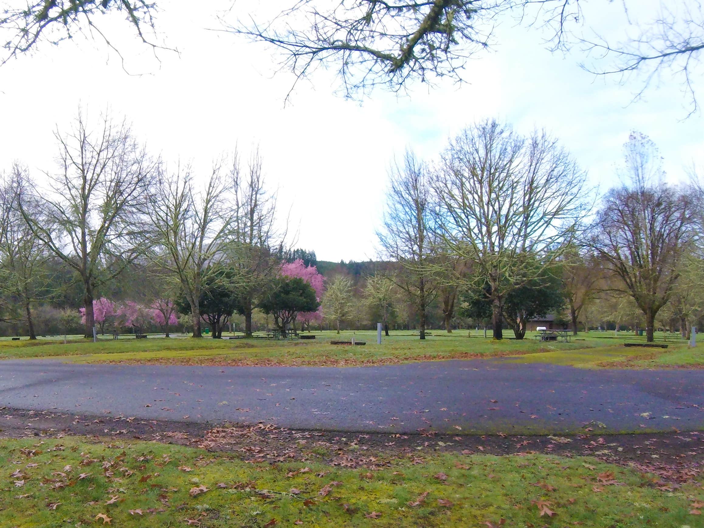 Camper-submitted photo at Sunnyside Park near Sweet Home, OR
