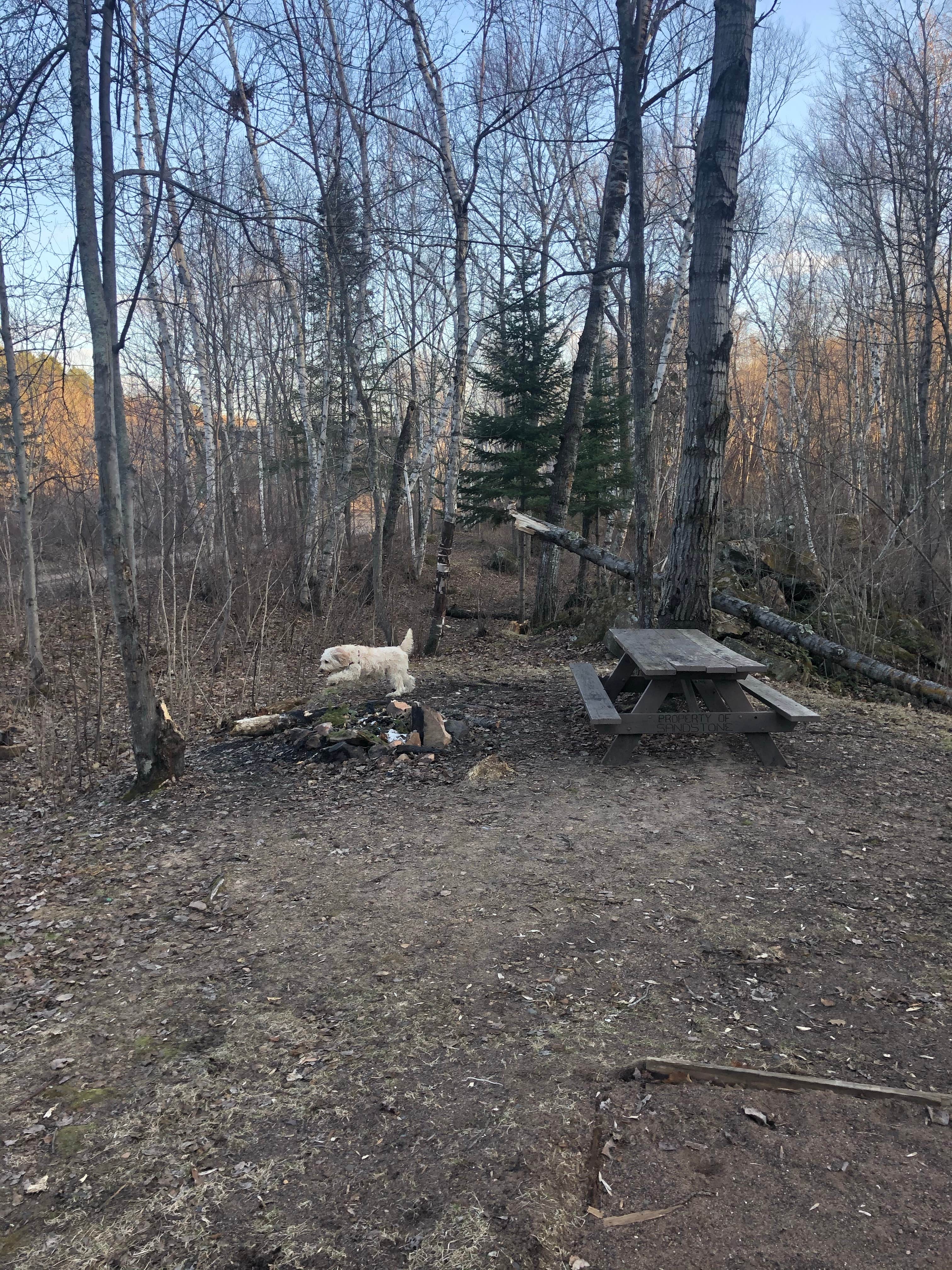 Camper-submitted photo at Robinson Park Camping near Hinckley, MN
