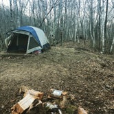 Review photo of Robinson Park Camping by Lindsey H., July 26, 2020