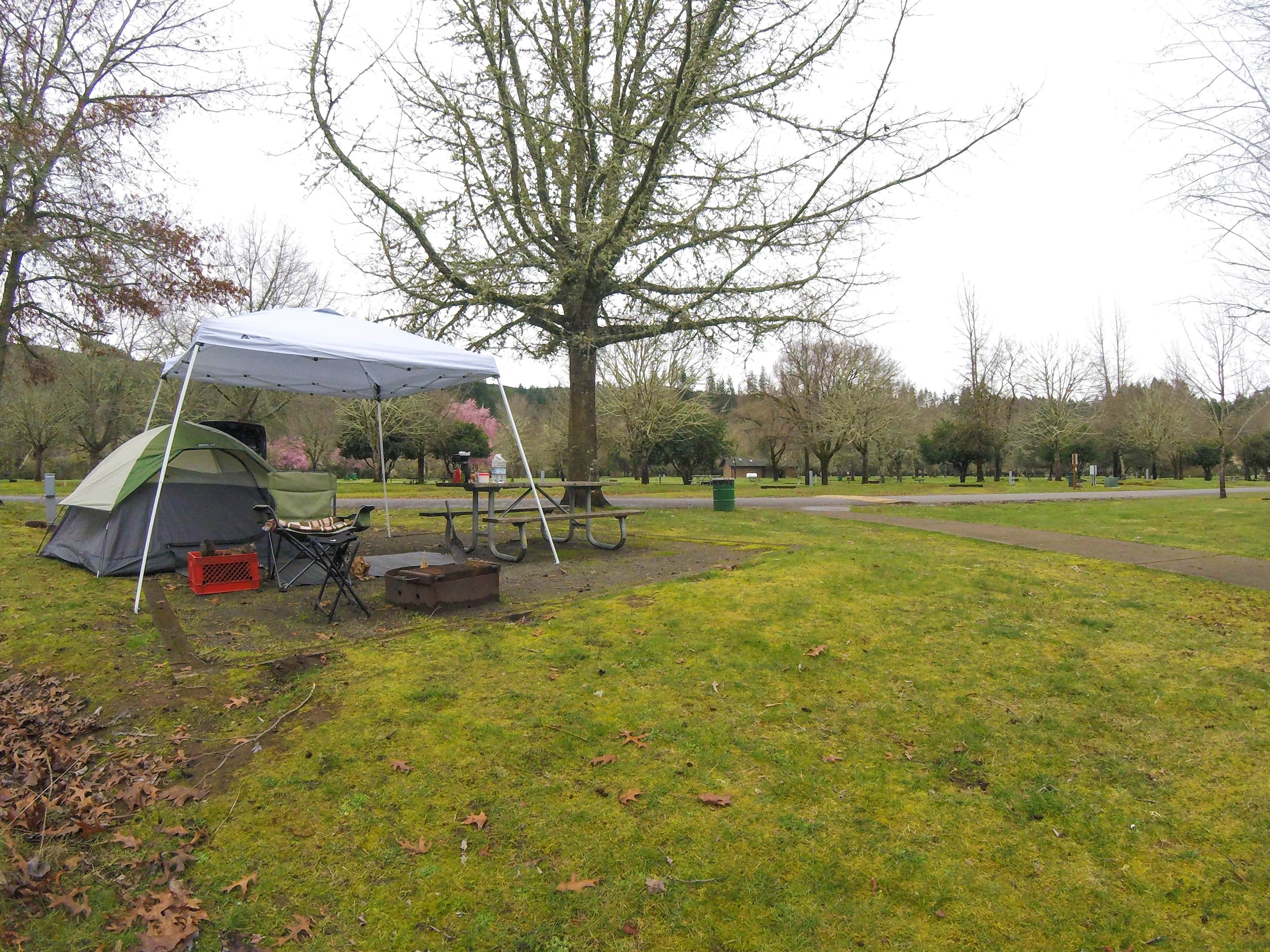 Camper-submitted photo at Sunnyside Park near Sweet Home, OR