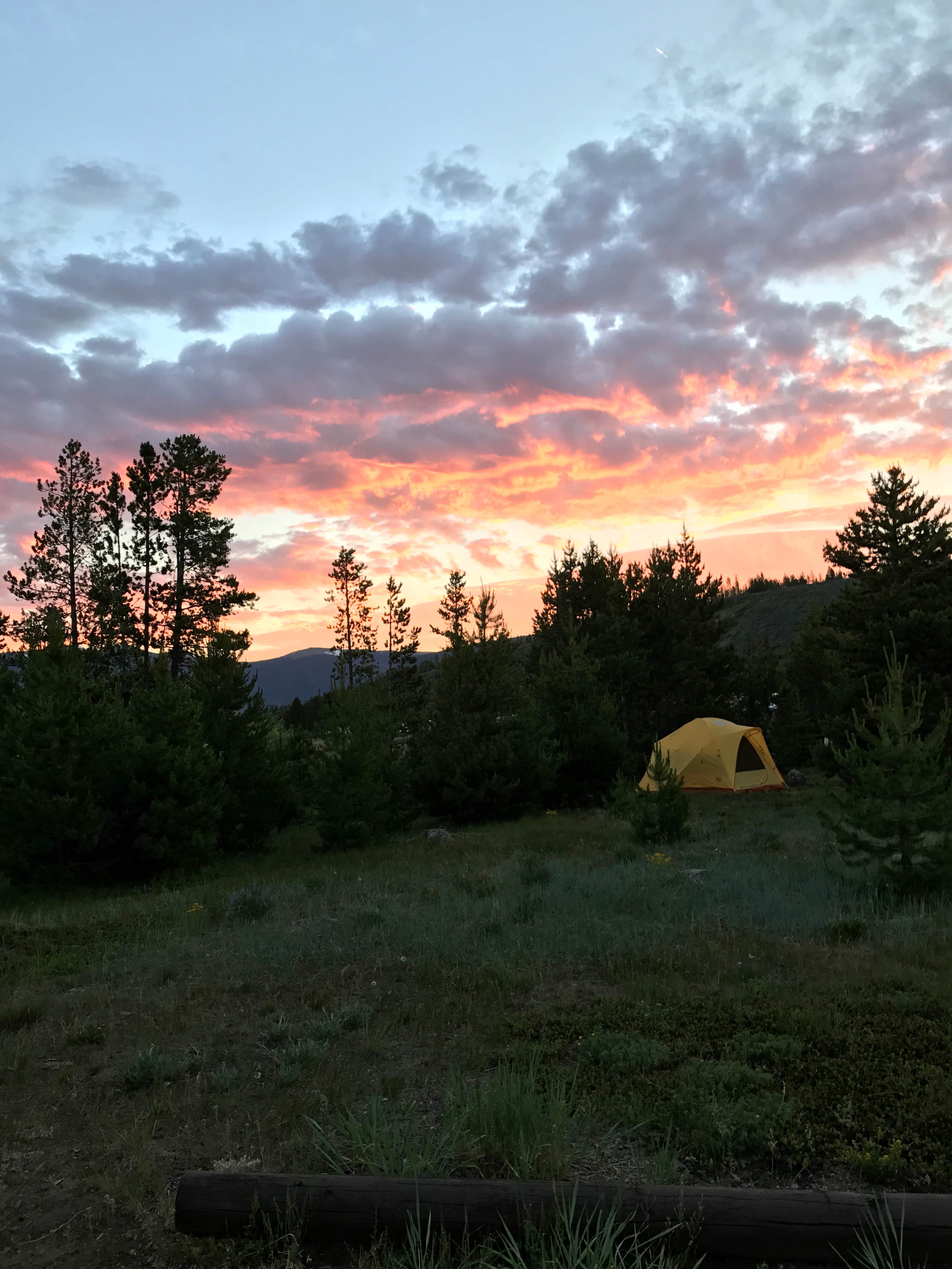 Kate N.'s photo at Peak One Campground near Frisco, CO