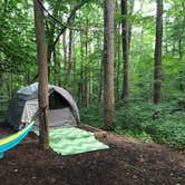 Review photo of Owens Creek Campground — Catoctin Mountain Park by Conni B., July 26, 2020