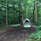 Review photo of Owens Creek Campground — Catoctin Mountain Park by Conni B., July 26, 2020