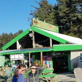 Review photo of Nehalem Bay State Park Campground by Allison T., March 25, 2018