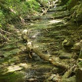 Review photo of Wyalusing State Park Campground by Rebecca B., July 26, 2020