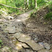 Review photo of Wyalusing State Park Campground by Rebecca B., July 26, 2020