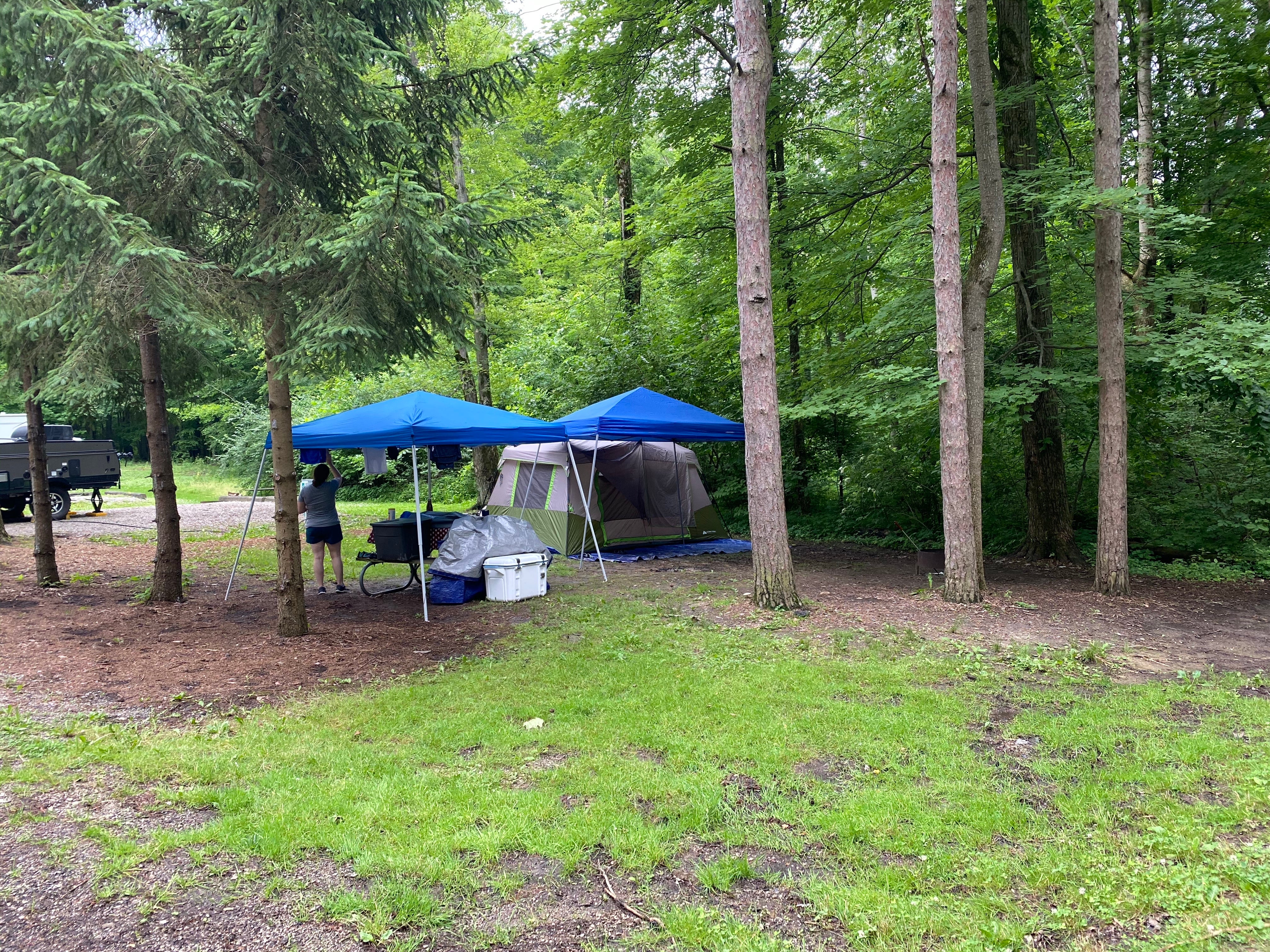 Camper submitted image from Mt Gilead State Park Campground - 4