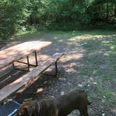 Review photo of Lake Wissota State Park Campground by Natasha G., July 26, 2020