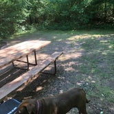 Review photo of Lake Wissota State Park Campground by Natasha G., July 26, 2020