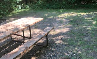 Natasha G.'s photo of camping with pets at Lake Wissota State Park Campground near Menomonie, WI