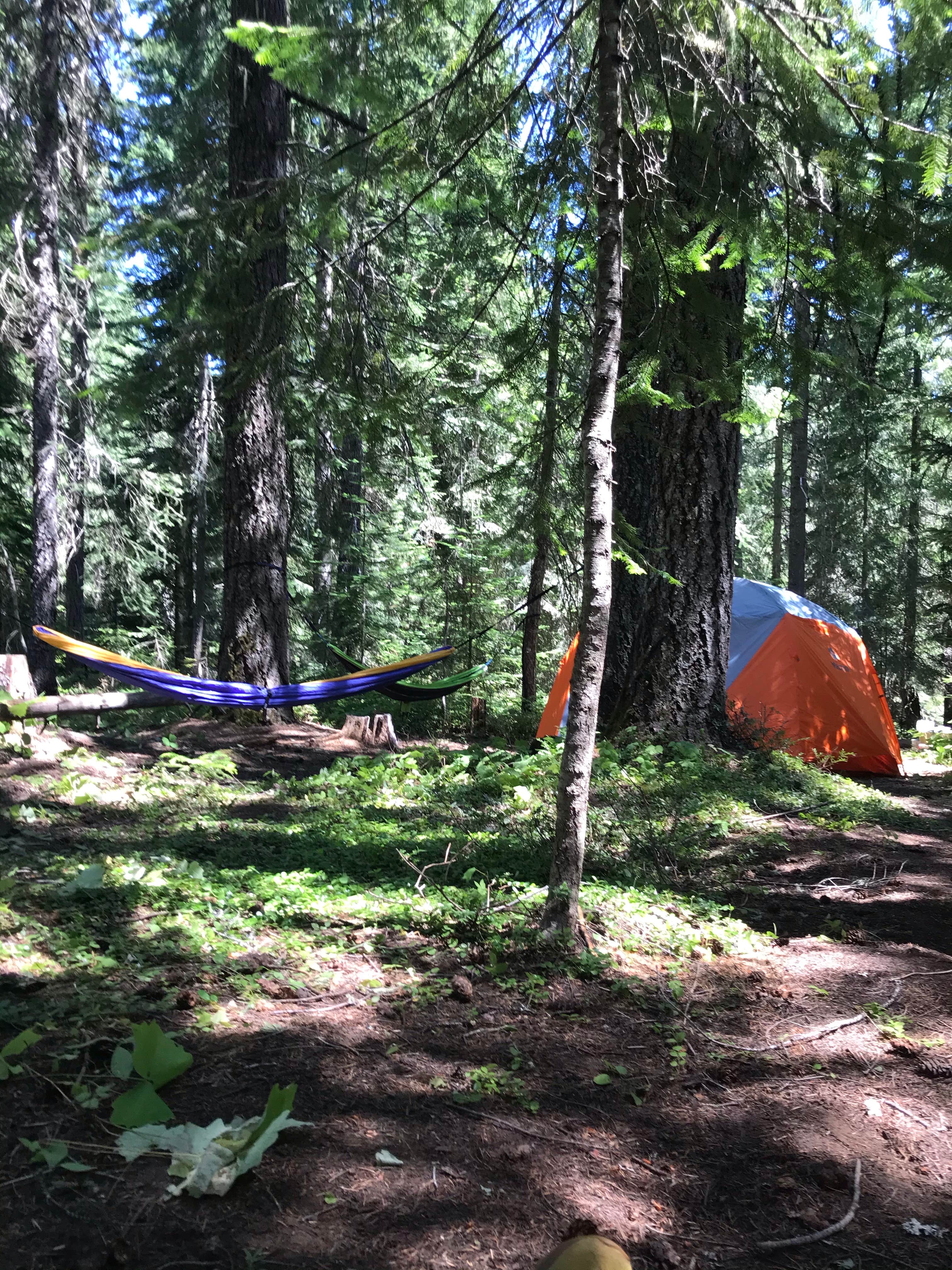 Annette S.'s photo at Peterson Prairie Campground near Trout Lake, WA