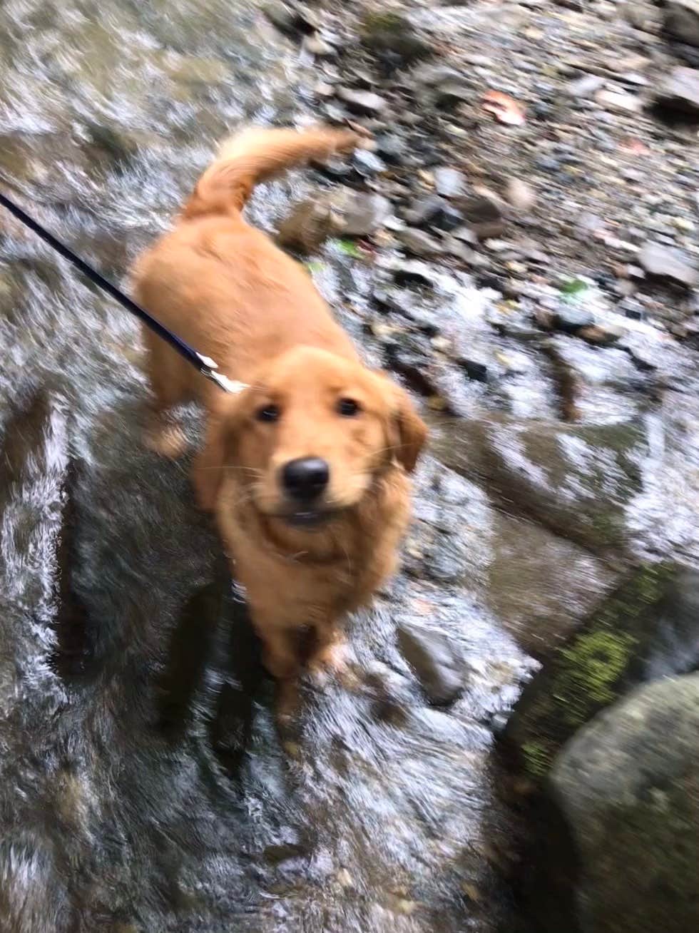 Camper-submitted photo at Kirkland Creek Campground and Cabins near Bryson City, NC