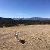 Review photo of Arkansas Headwaters Recreation Area by Rachel P., March 26, 2018