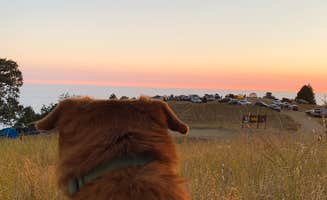 Connelly R.'s photo of camping with pets at Prewitt Ridge Campground - Temporarily Closed near Lucia, CA
