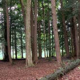 Review photo of Crooked Run Campground — Prince Gallitzin State Park by Kerrie K., July 26, 2020