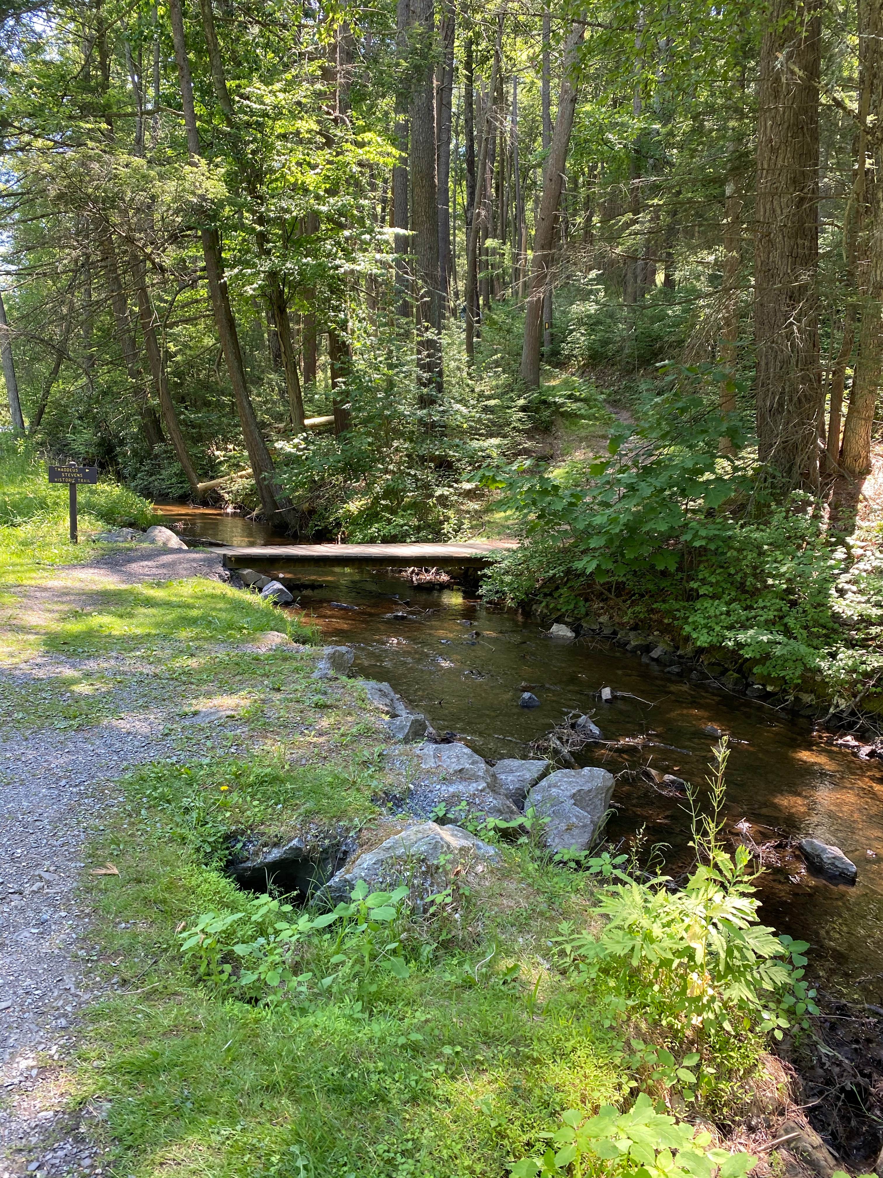 Camper-submitted photo at Caledonia State Park Campground near Rouzerville, PA