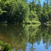 Review photo of Caledonia State Park Campground by Ruth  ., July 26, 2020