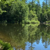 Review photo of Caledonia State Park Campground by Ruth  ., July 26, 2020